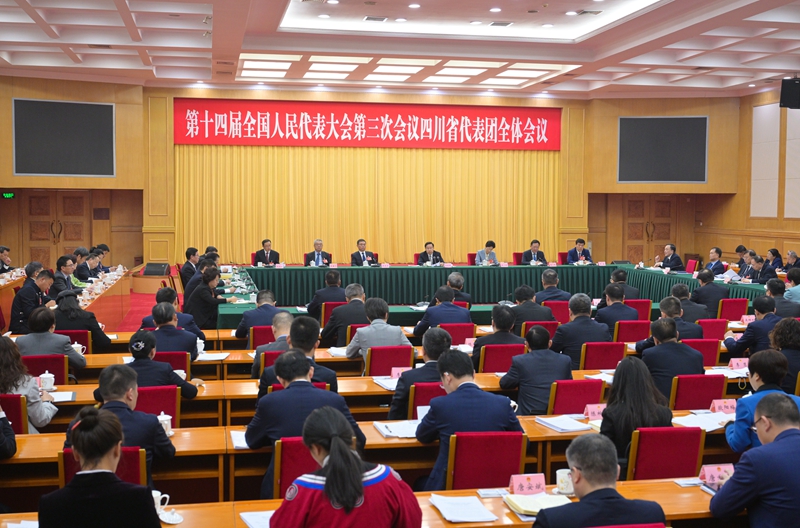 四川代表团举行全体会议 审议大会有关决议草案 王晓晖主持并讲话 施小琳参加「相关图片」
