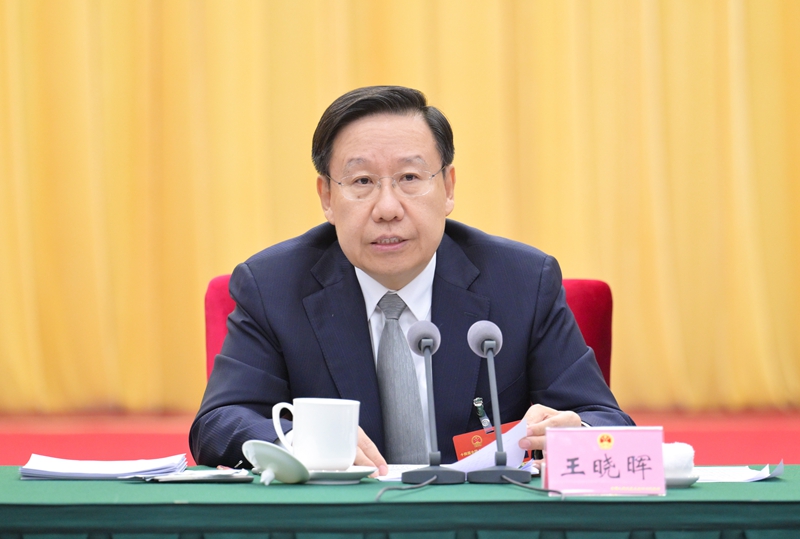 四川代表团举行全体会议 审议大会有关决议草案 王晓晖主持并讲话 施小琳参加「相关图片」