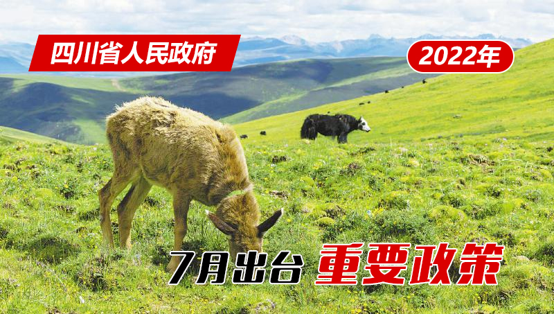 国精产品一品二品国精品69xx