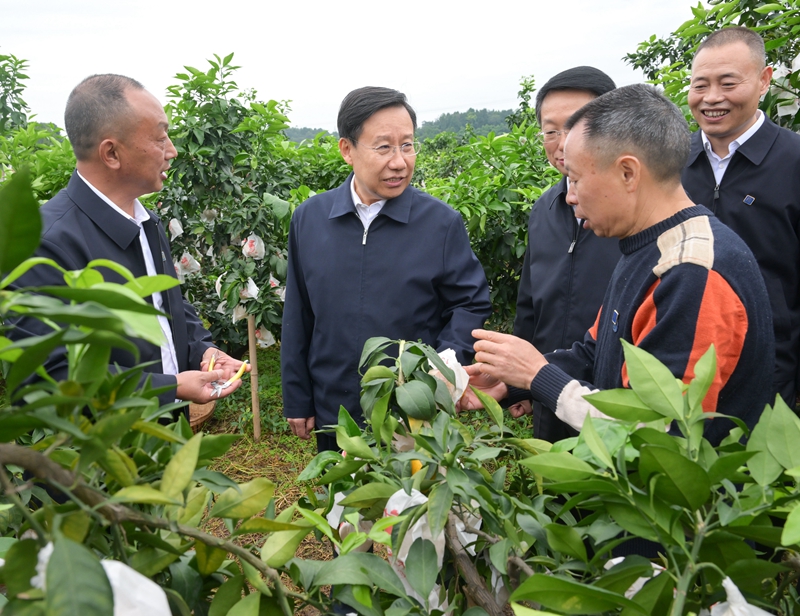 王晓晖在眉山市调研时强调 以县域为重要切入点推进城乡融合发展 切实畅通城乡经济循环促进城乡共同繁荣「相关图片」